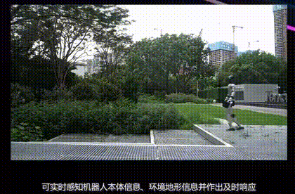 Perceptive Locomotion